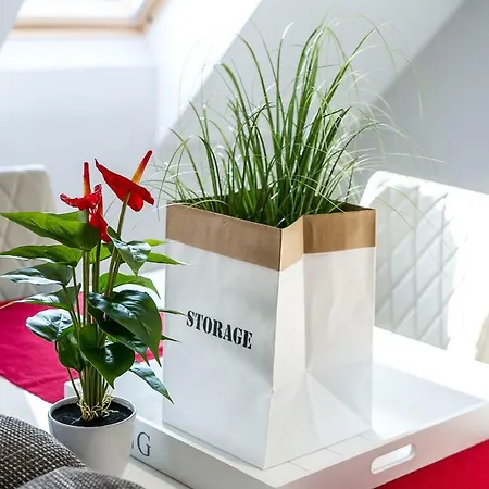 Grey Lägenhet Pécs